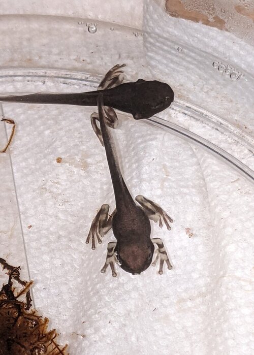 PXL_20220206_061737916 (1).jpg