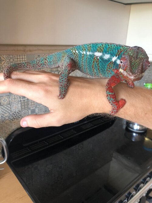 WhatsApp Image 2022-04-07 at 11.04.38 AM.jpeg