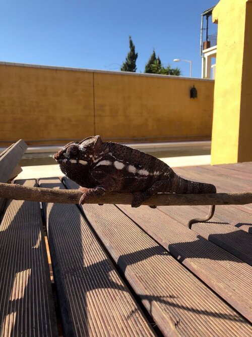 WhatsApp Image 2022-04-08 at 8.52.25 AM.jpeg