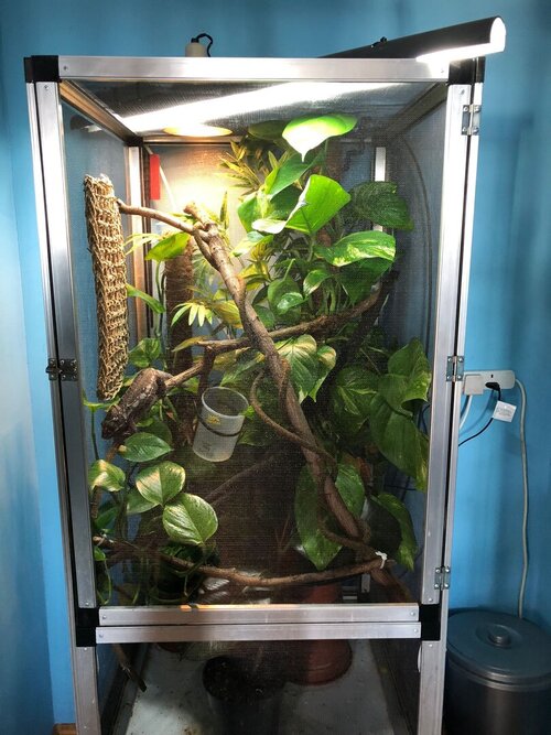 WhatsApp Image 2022-04-08 at 8.53.19 AM.jpeg