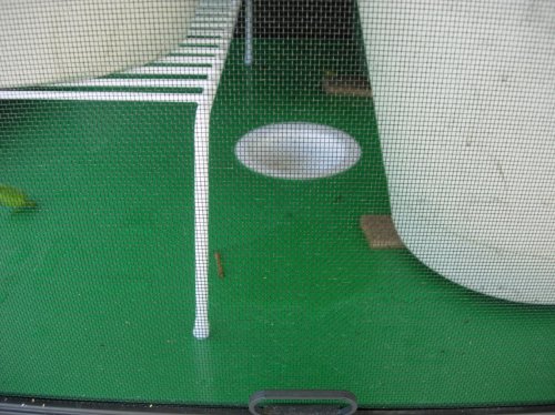 DSCN2344.jpg