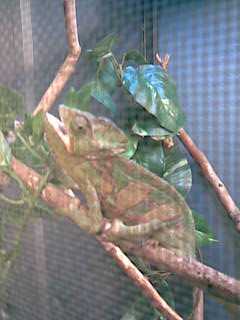 Image005.jpg