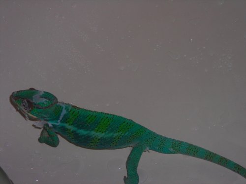 Picture 025.jpg