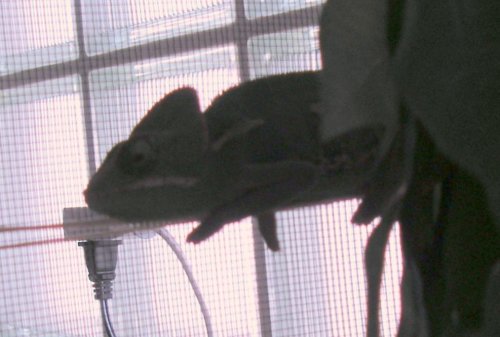 PICT0076-1.jpg