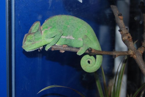 DSC_0030.jpg DSC_0030.jpg