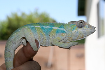 IMG_1111.jpg