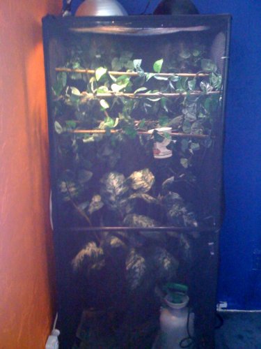 photo2.jpg