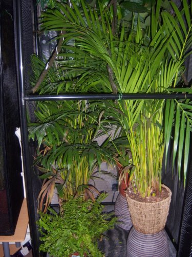 100_0562.jpg