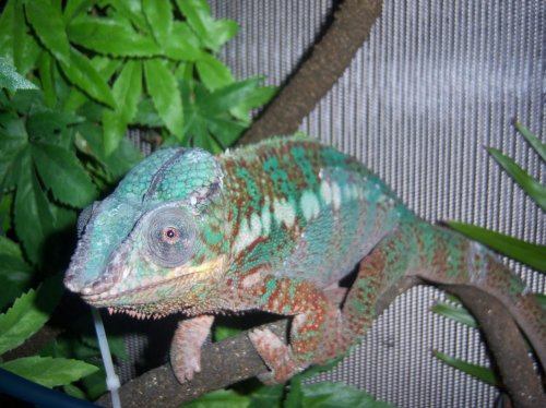100_0576.jpg