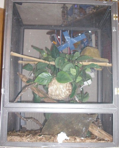 Picture 018.jpg