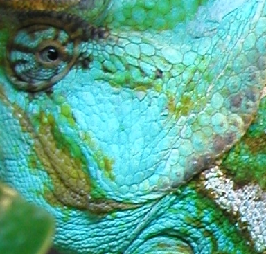 M17.jpg