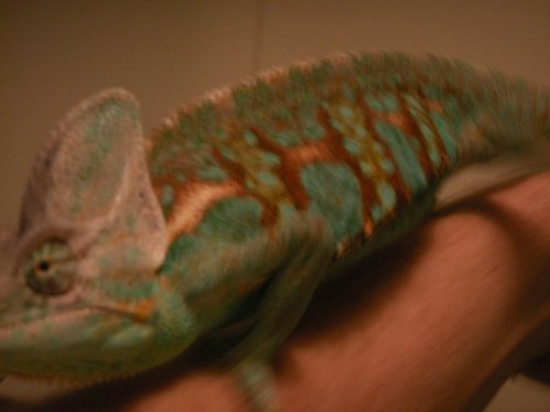 PICT0313.jpg