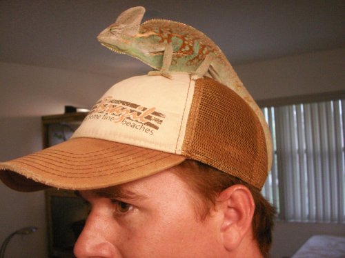PICT0318.jpg