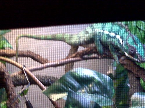 IMG00174.jpg