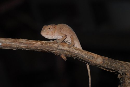 DSC_0801.jpg