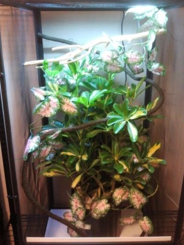 2011-09-25 15.35.59.jpg