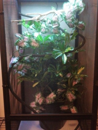 2011-09-25 15.58.34.jpg