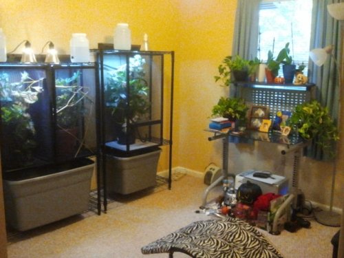 2011-09-25 17.58.46.jpg