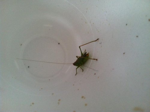 photo.jpg