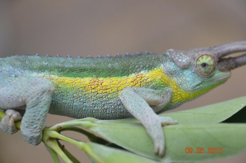 DSC_0895.jpg