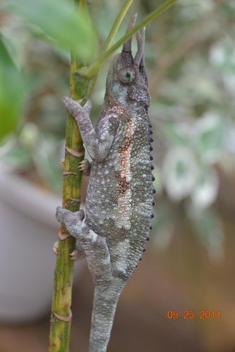 DSC_0902.jpg