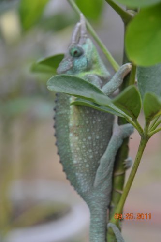 DSC_0903.jpg