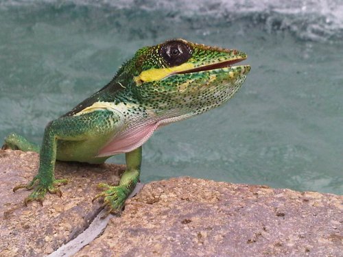 IMG01309-20110929-1421.jpg