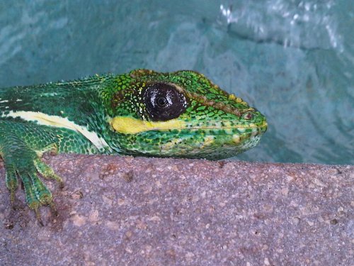 IMG01310-20110929-1422.jpg