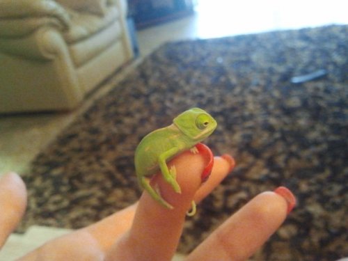 2011-07-25 14.59.46.jpg