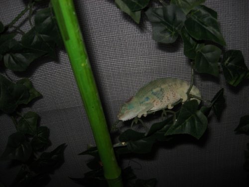 IMG_1250.JPG