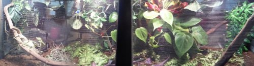 2011-10-03 12.01.06.jpg