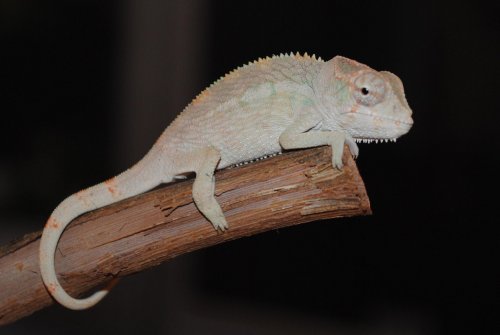 7-24-male.jpg