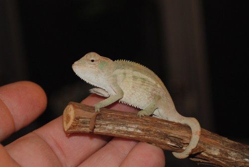 7-24male2.jpg