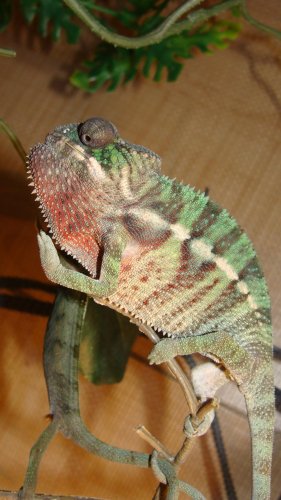 Sony camera pics 023.jpg