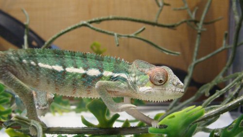 Sony camera pics 041.jpg