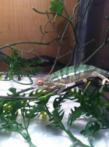 NEW IPHONE PICS 190.jpg