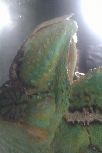 IMAG0231.jpg