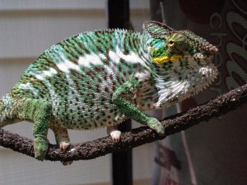 P7280144 [1600x1200].jpg