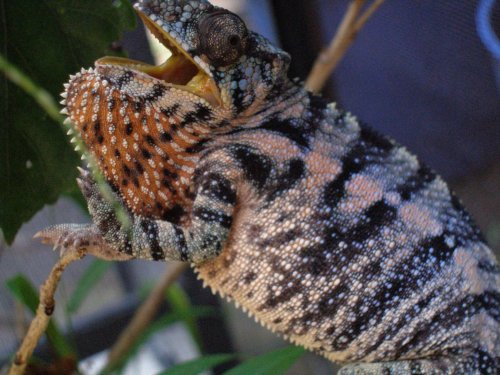 P7280155 [1600x1200].jpg