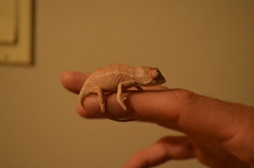 DSC_0172.jpg