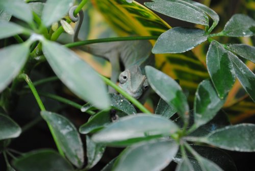 DSC_1034.jpg