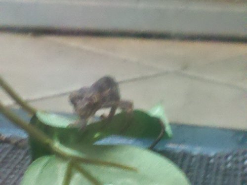 IMG_20111012_102702.jpg