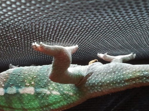 2011-10-14 16.15.41.jpg