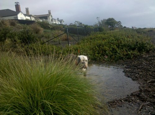 2010-01-18 13.34.17.jpg