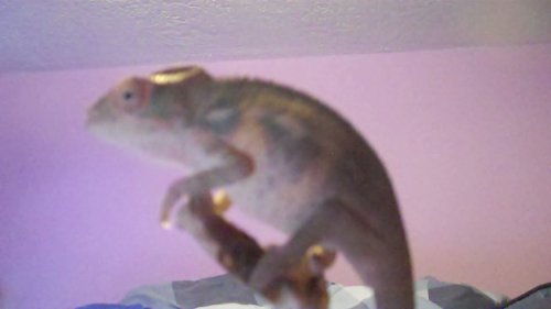 Ambilobe 3months.jpg