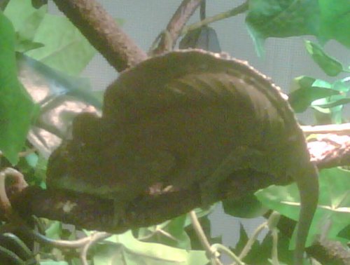 IMG00060-20111016-0857.jpg