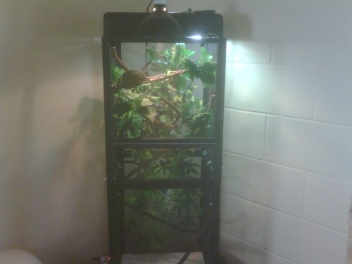 IMG00062-20111016-1023.jpg