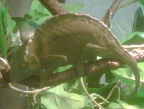 IMG00069-20111016-1039.jpg