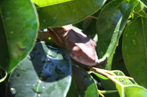 IMG_5814.jpg