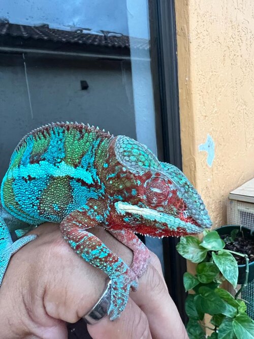 WhatsApp Image 2022-06-02 at 9.03.31 PM (1).jpeg